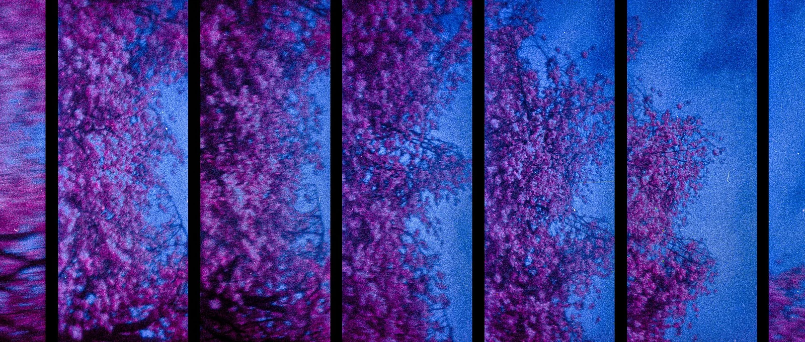 Embers from Yesterday, Aflame.