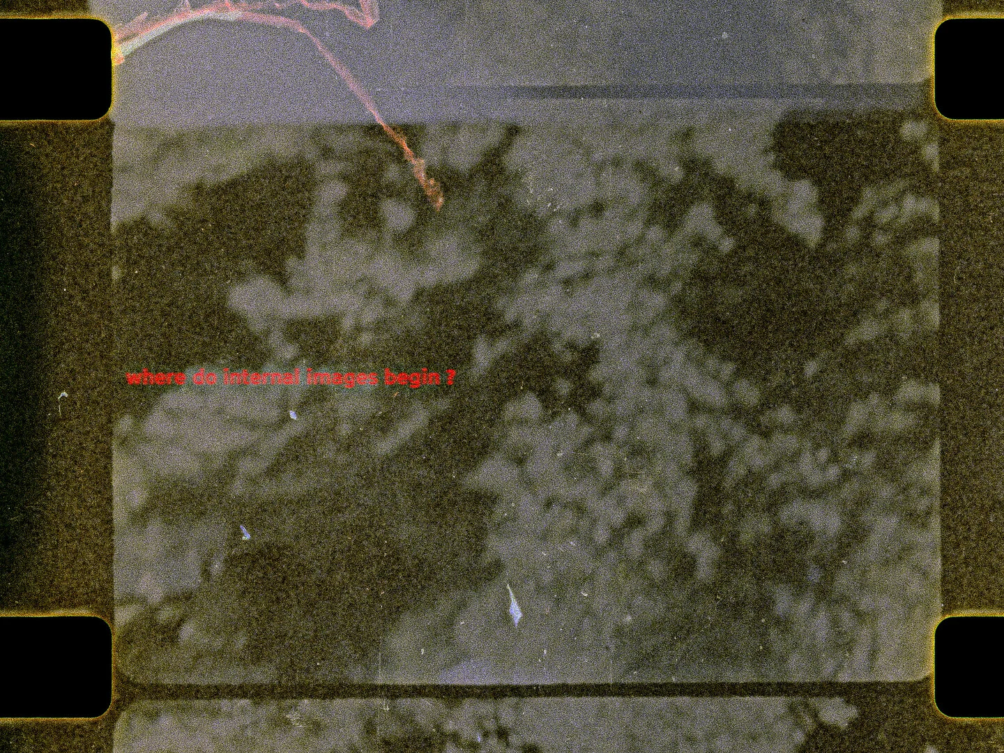 Here are some Images