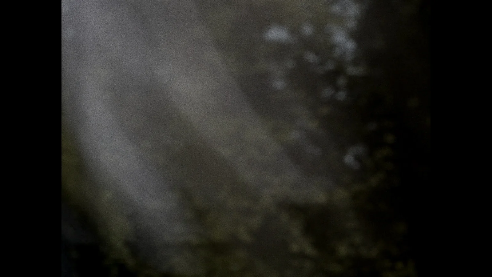 Where the heremit sings in the pine trees