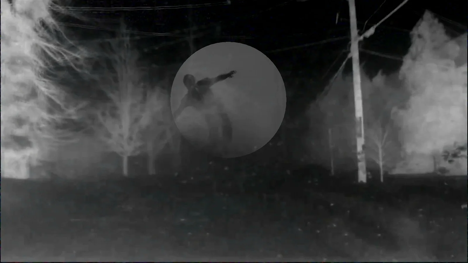 Where the Truth Lies