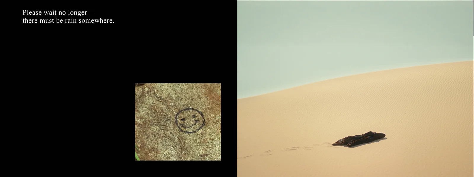 Searching For a Forest