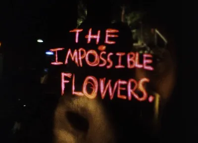 The Impossible Flowers.