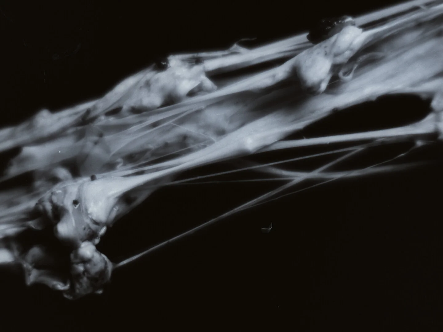 the house was there before me