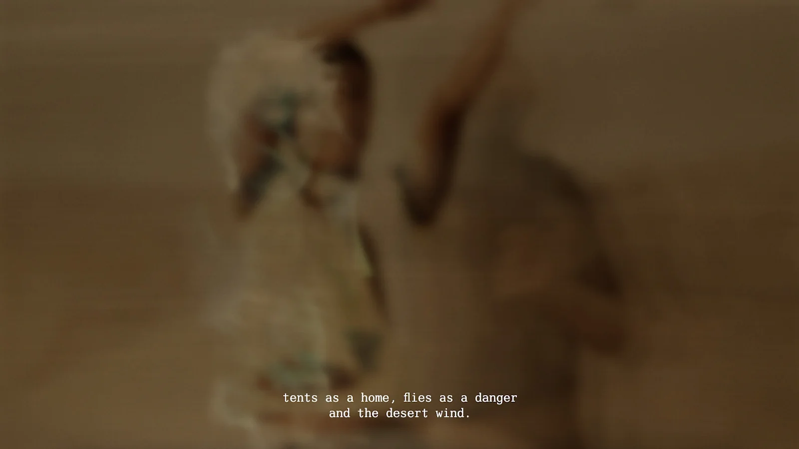 Chasing the Sun: El Shatt