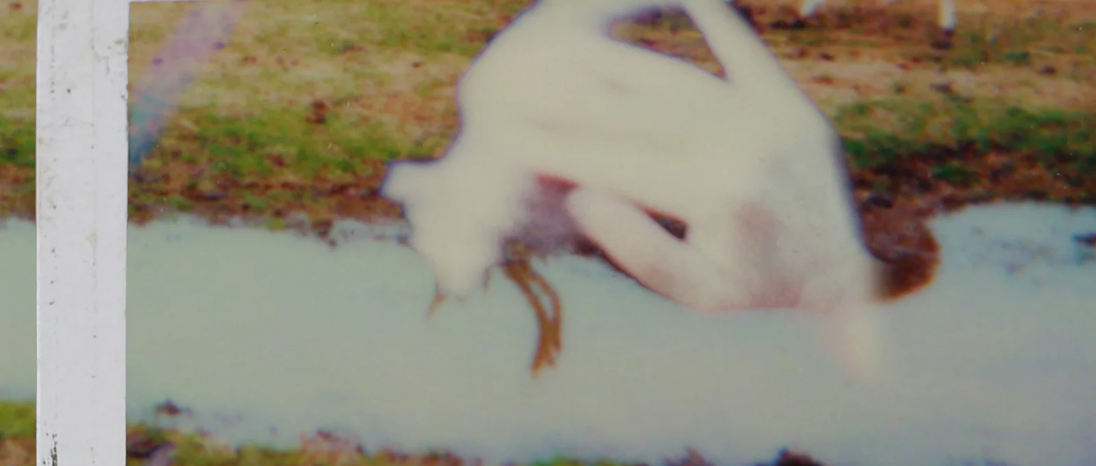 the first memory with you