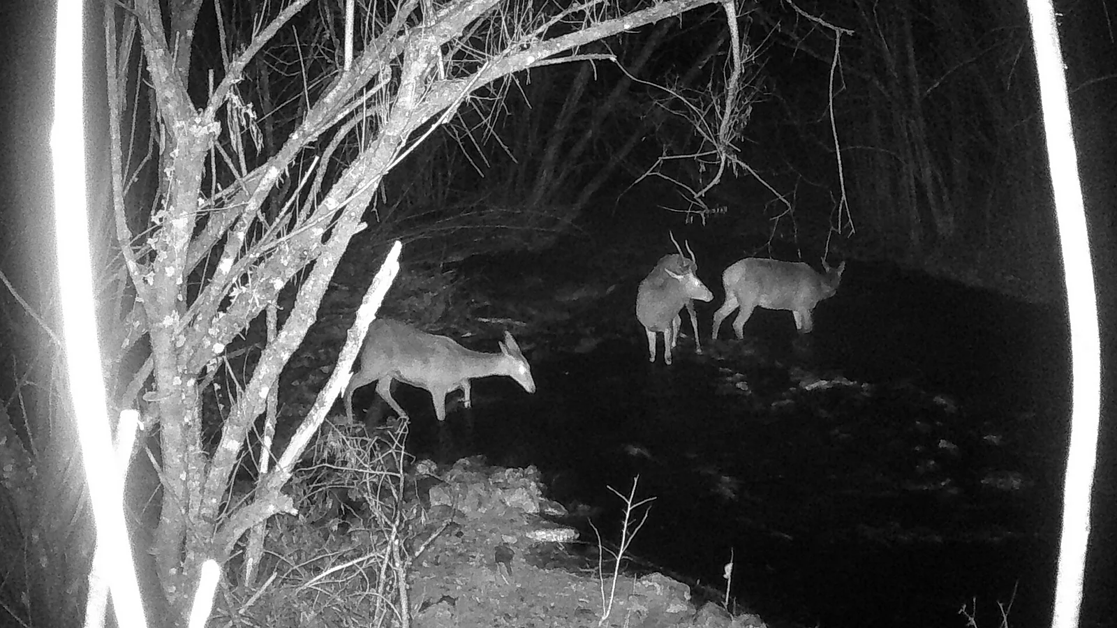 The Same Sweat is Still Flowing Through the Same Pores