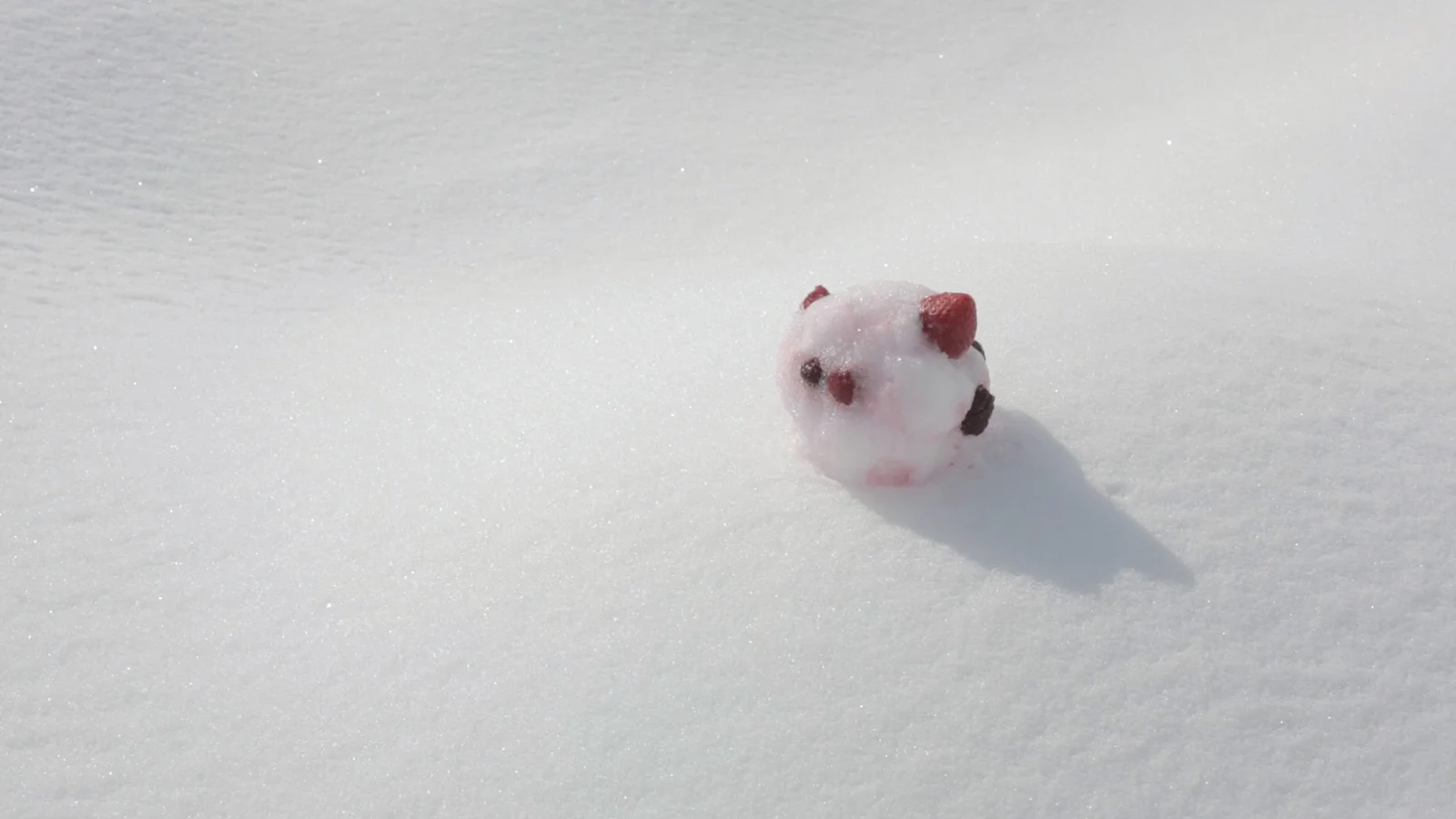 Laughing fishes gave me a lift