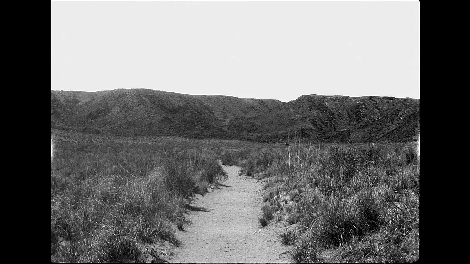 New Mexico Deathwish Diatribe