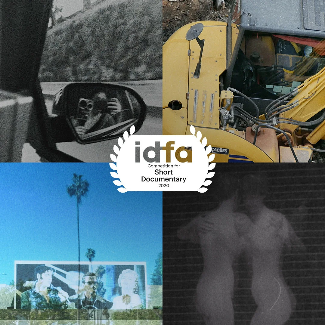 Same/Different/Both/Neither