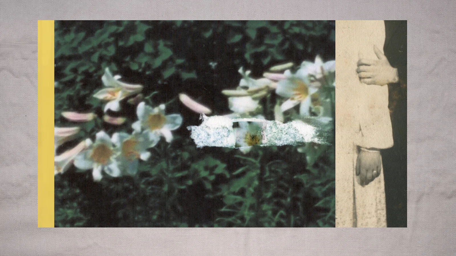 Between Delicate and Violent