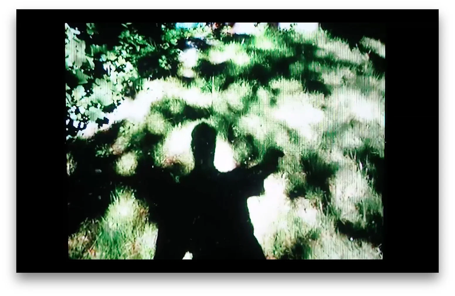 CREDIT00 - THE GARDEN