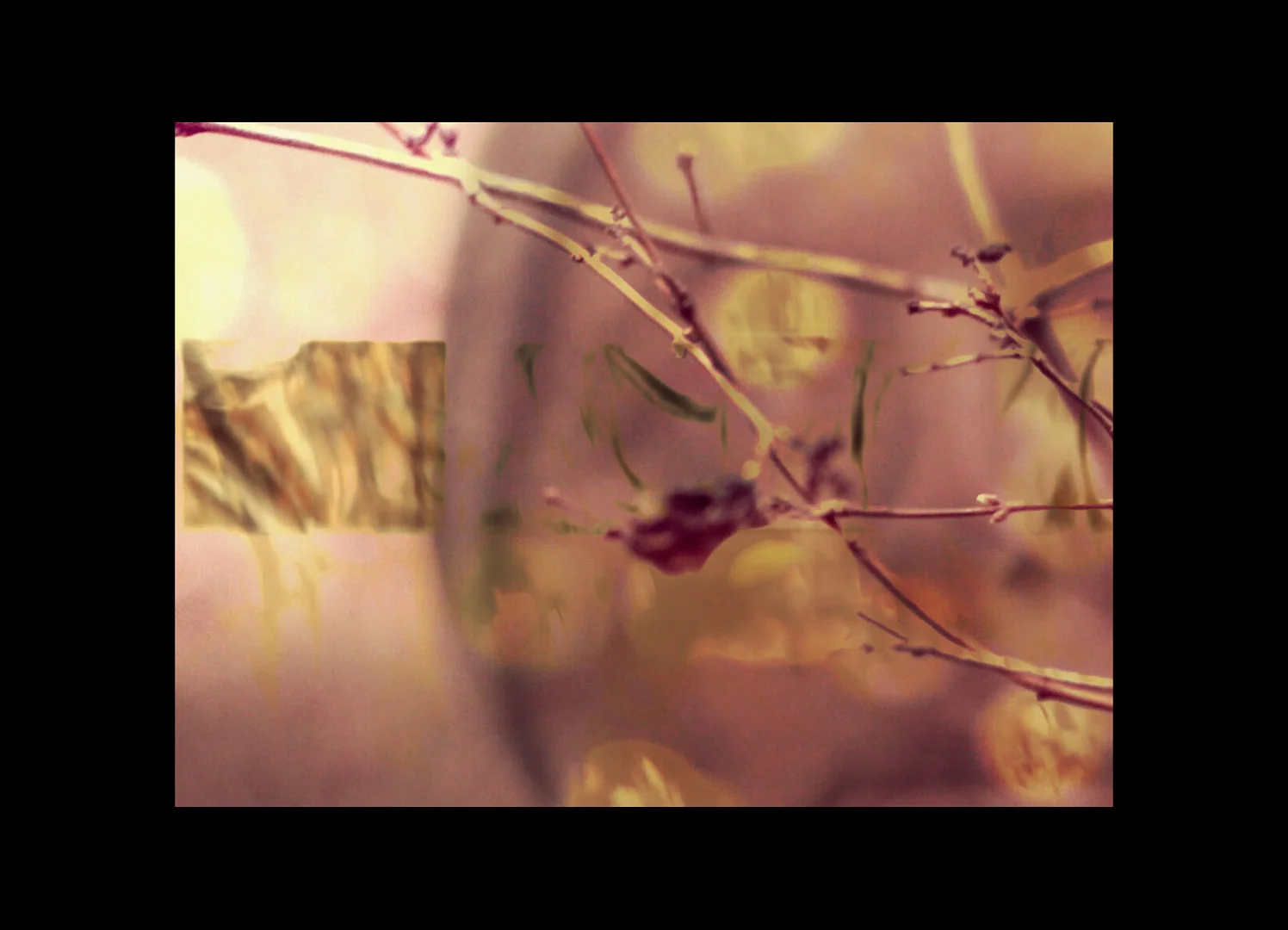 If the eye were an animal, its soul would be the sight