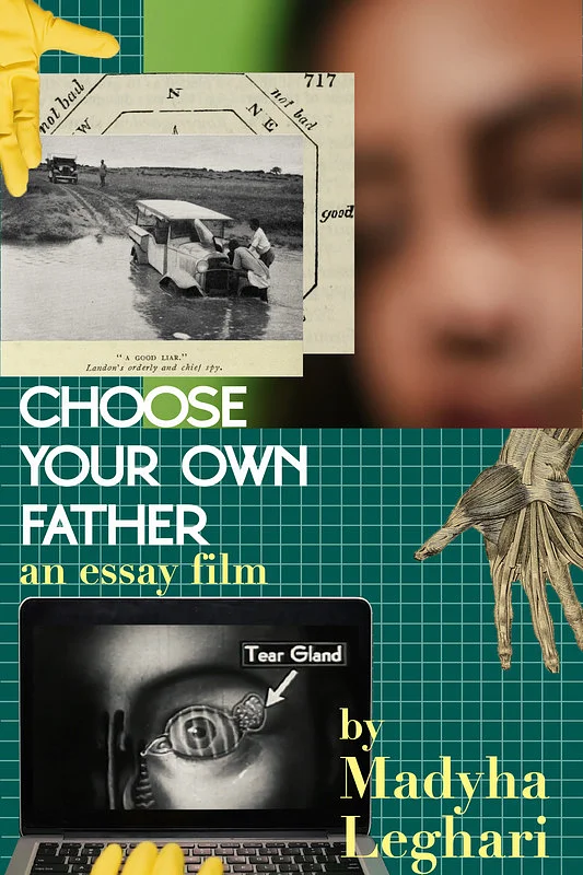 Choose Your Own Father