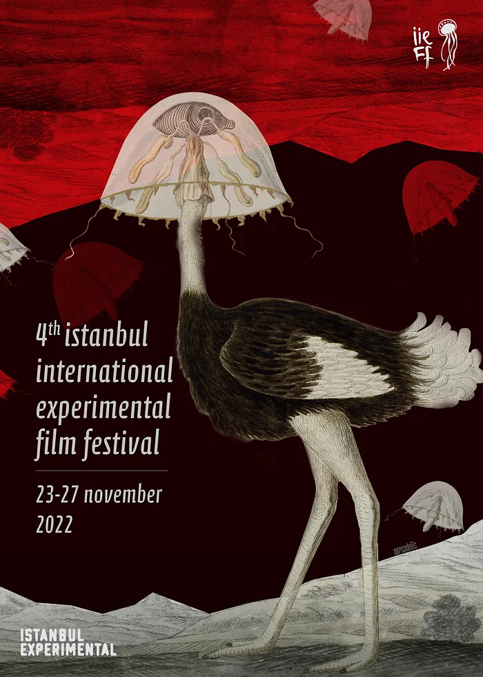 4th Istanbul International Experimental Film Festival