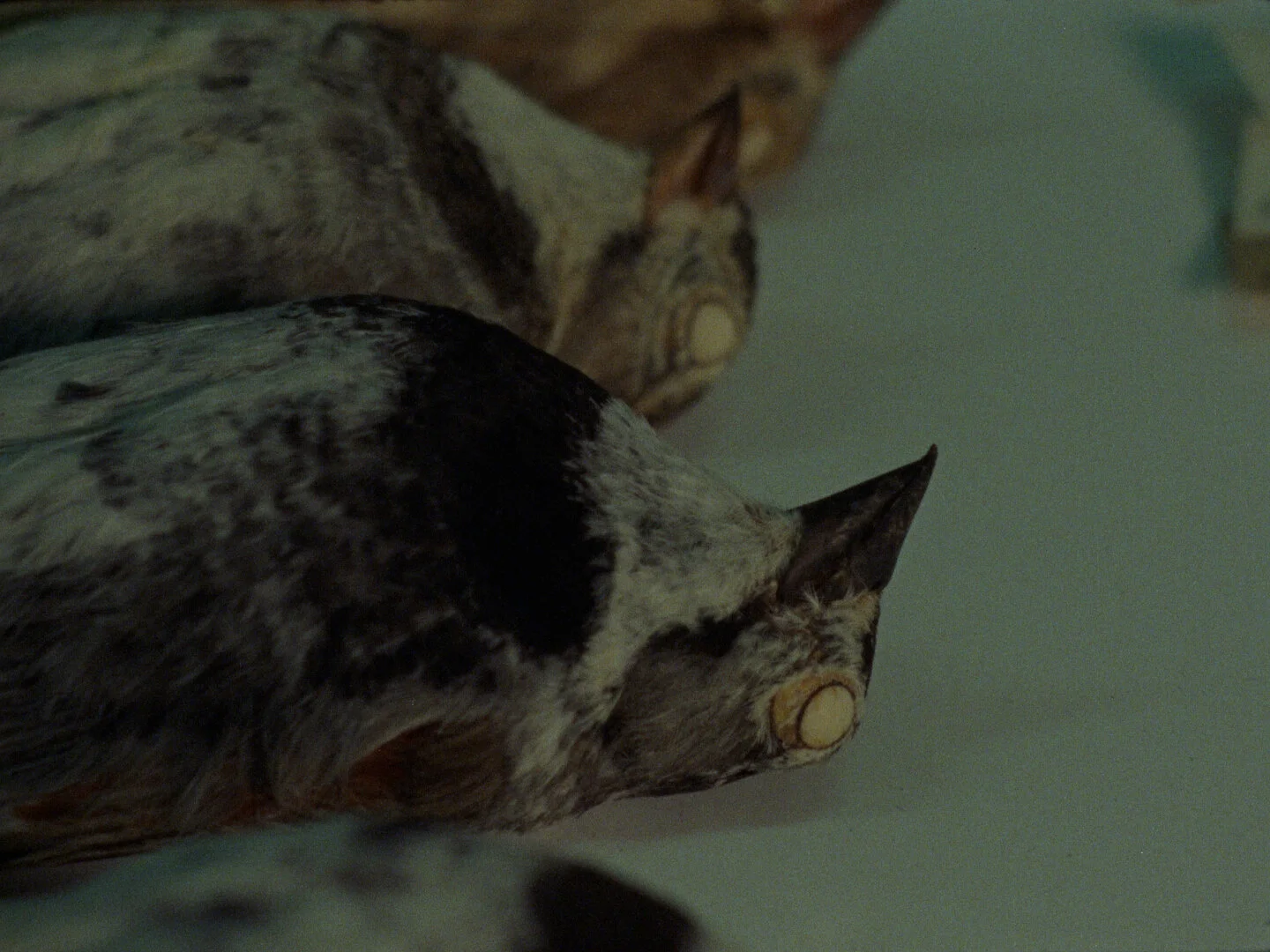 First Breath on Mars