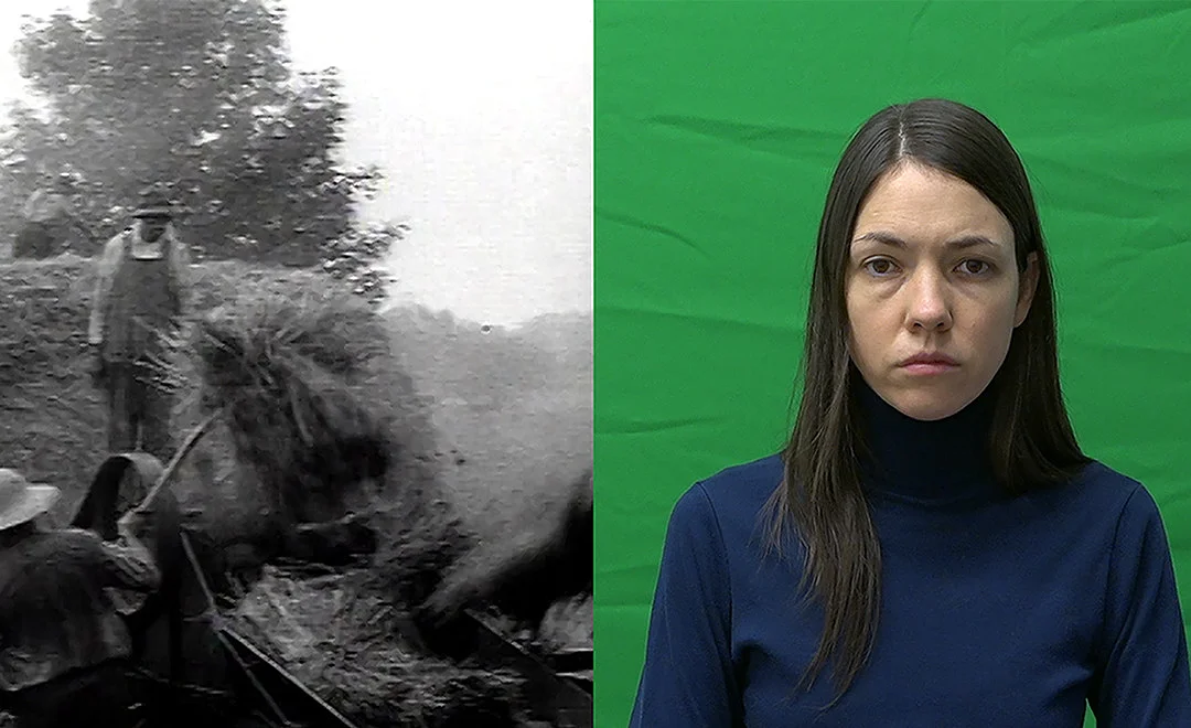 Alice's Four Stories