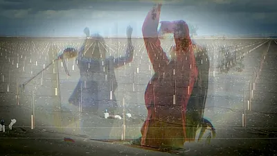 Onward Lossless Follows