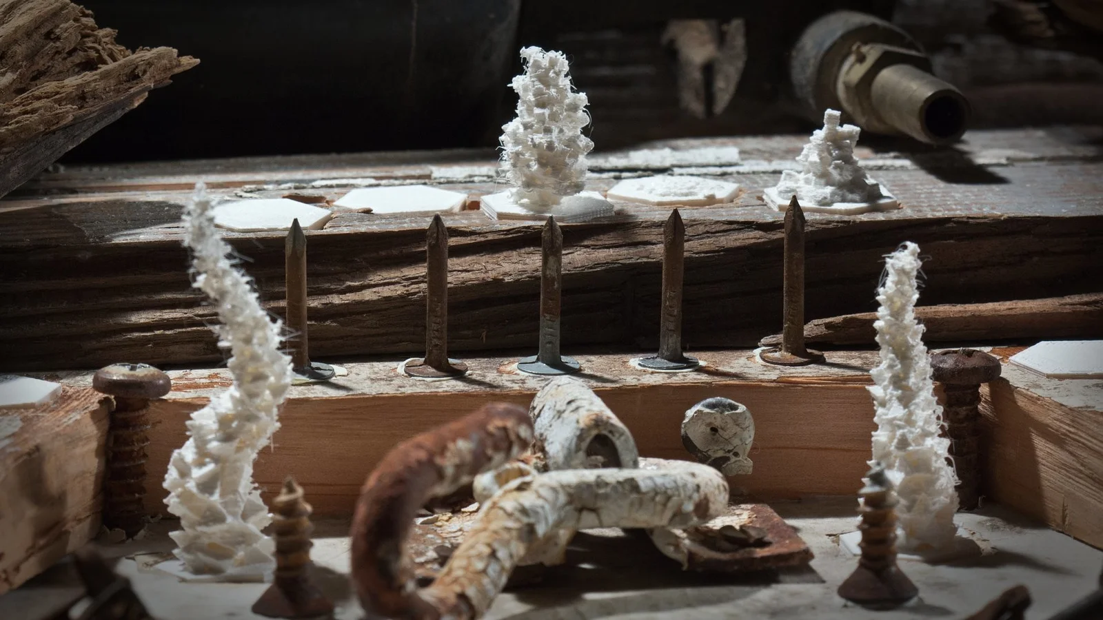 Boom -> Bust (Vicious Cylcles #1)