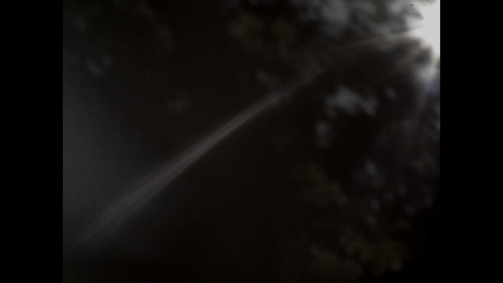 Where the heremit sings in the pine trees