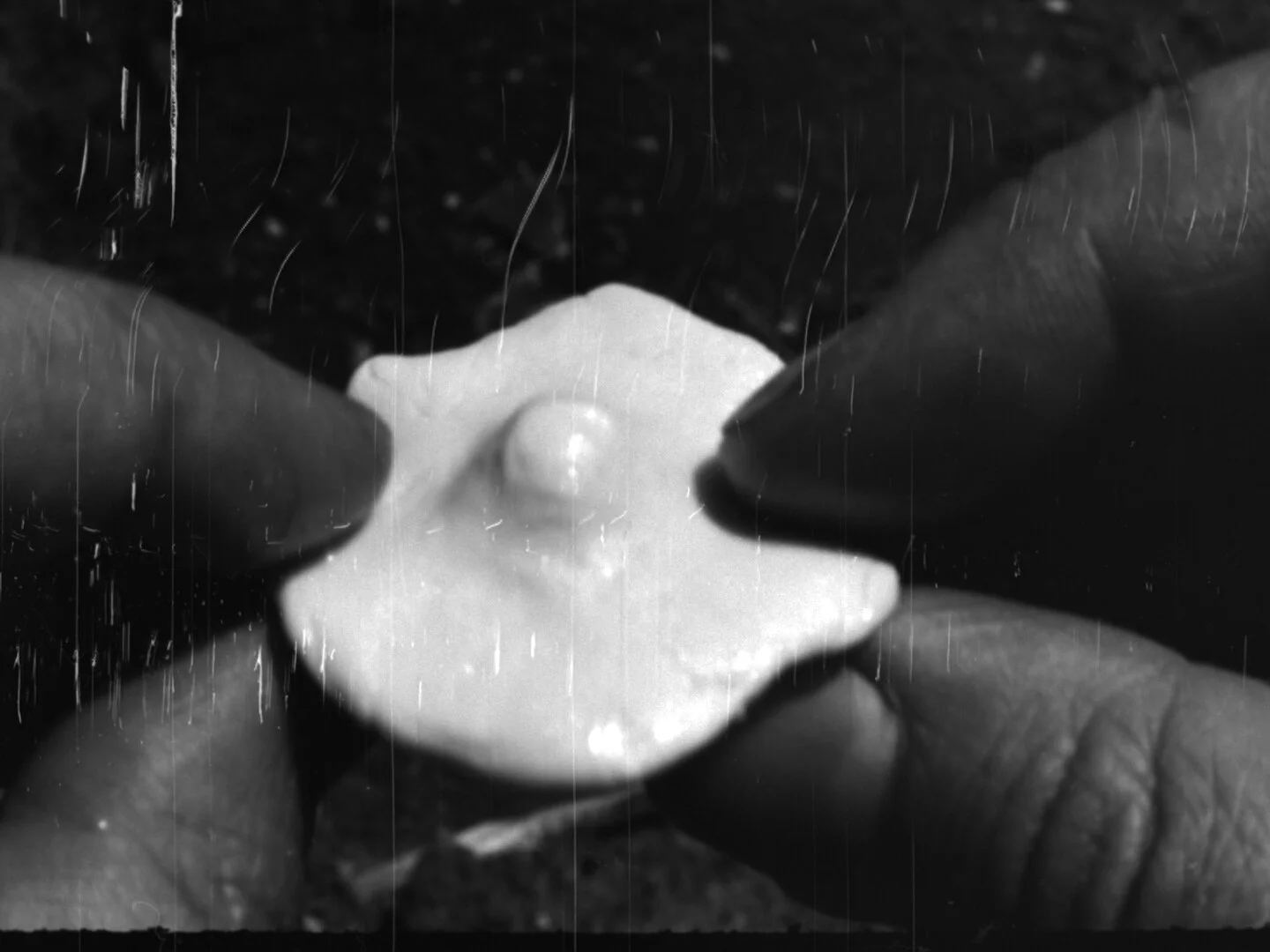 the house was there before me