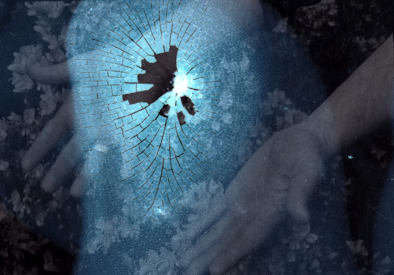 The Treasury of Human Inheritance