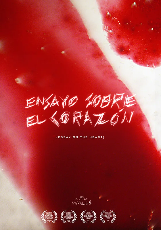 Essay on the Heart