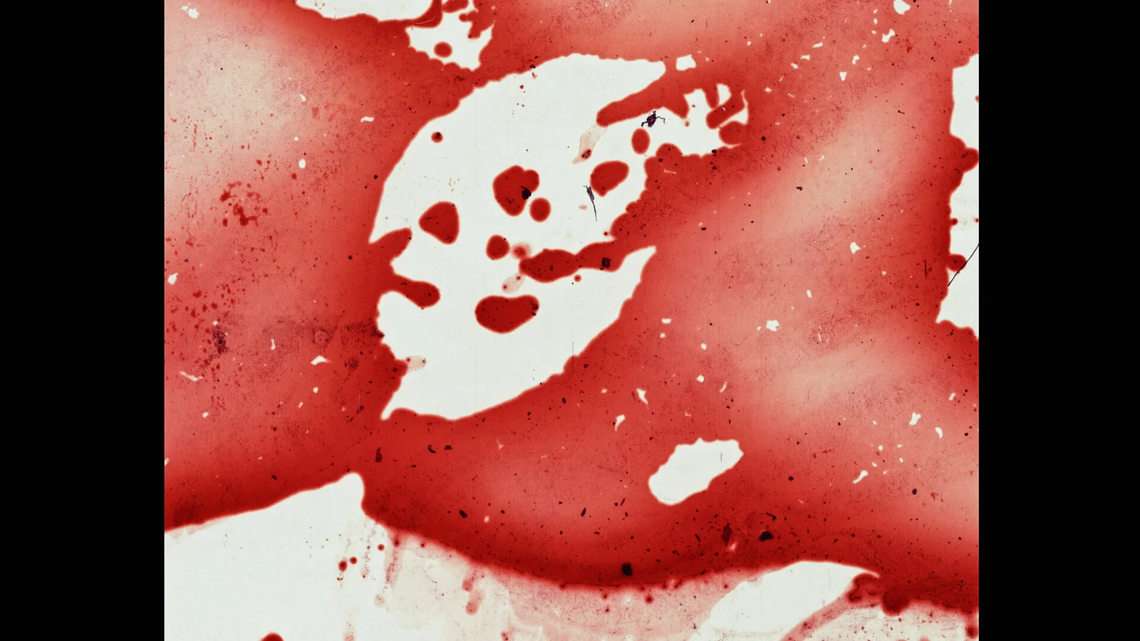 5-cent American Flag