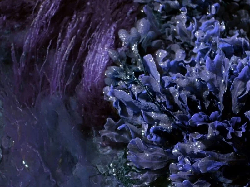 a landscape to be invented 