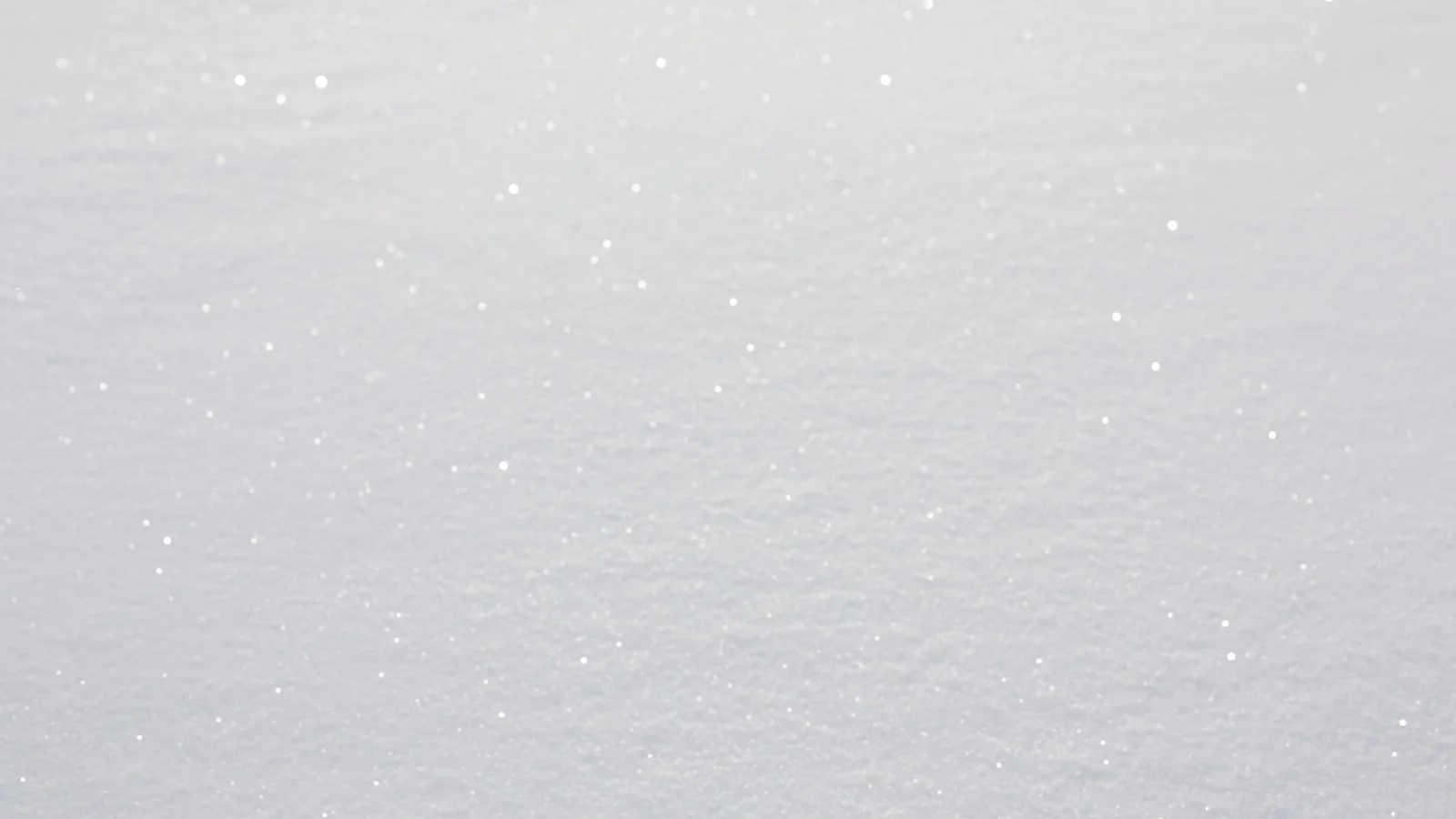 Laughing fishes gave me a lift