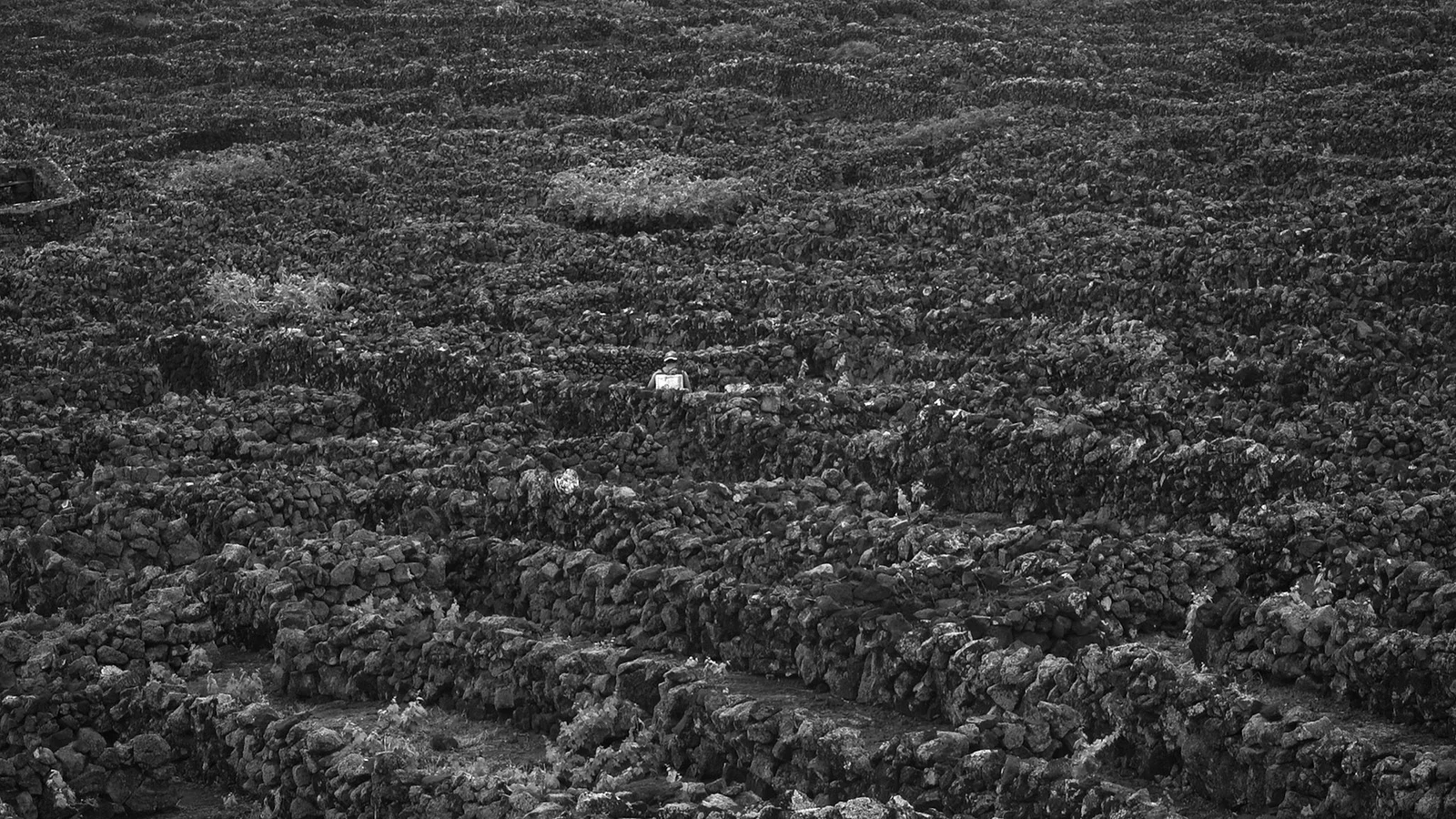 Spirits and Rocks: an Azorean Myth 