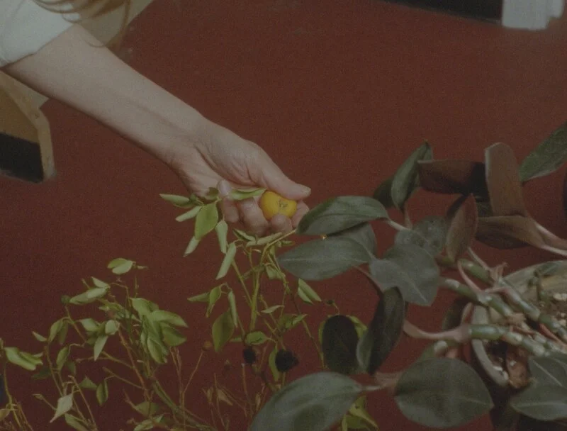 Barefoot Birthdays on Unbreakable Glass 