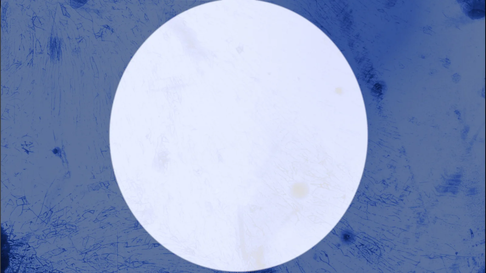 New Mexico Deathwish Diatribe