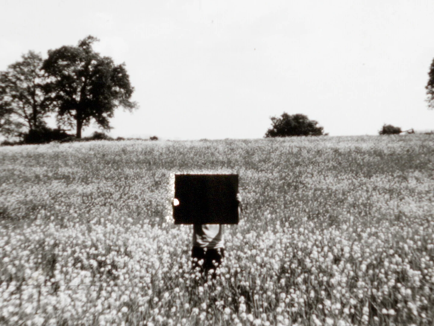 the house was there before me