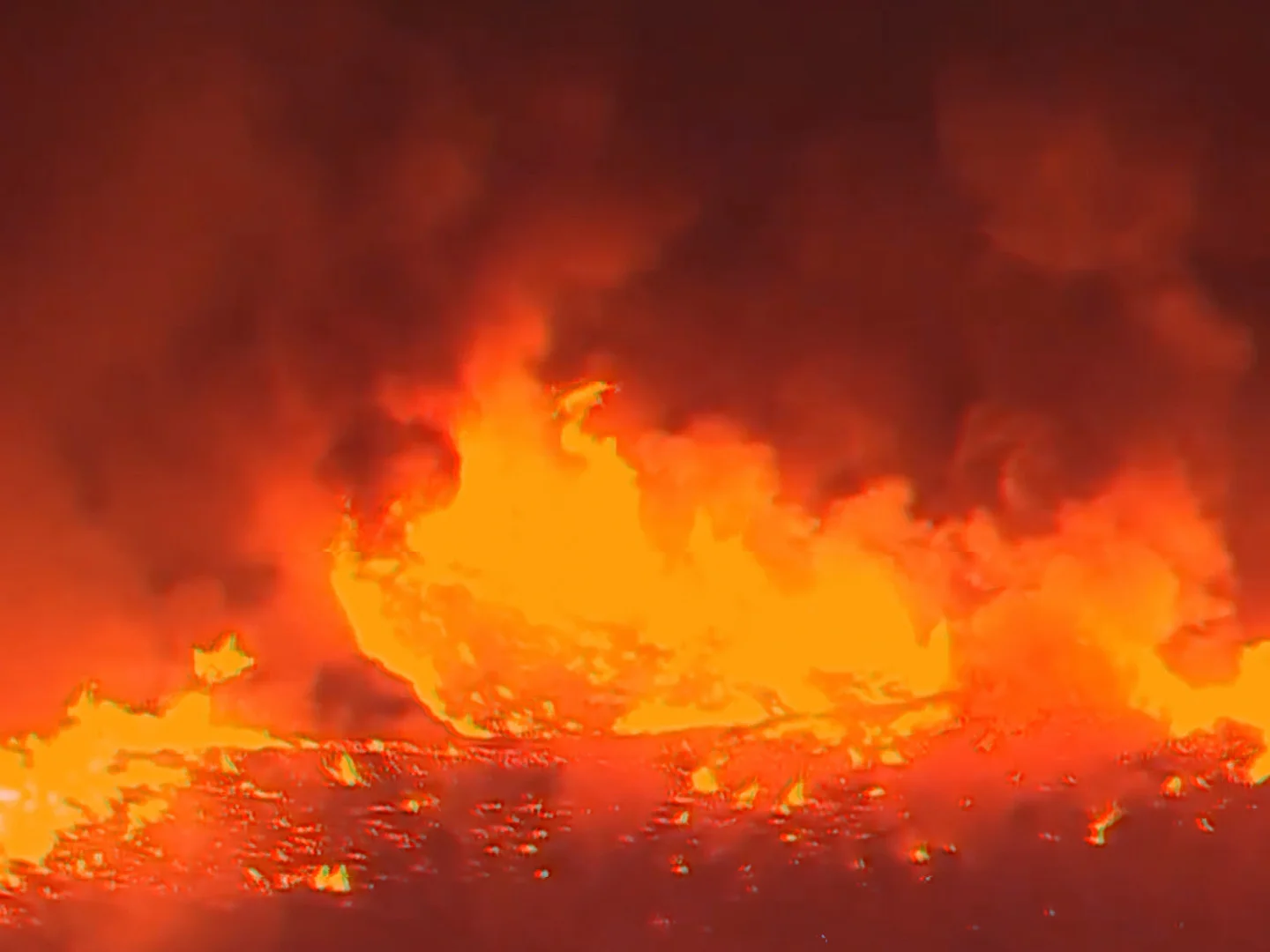 Genital Reveal Party