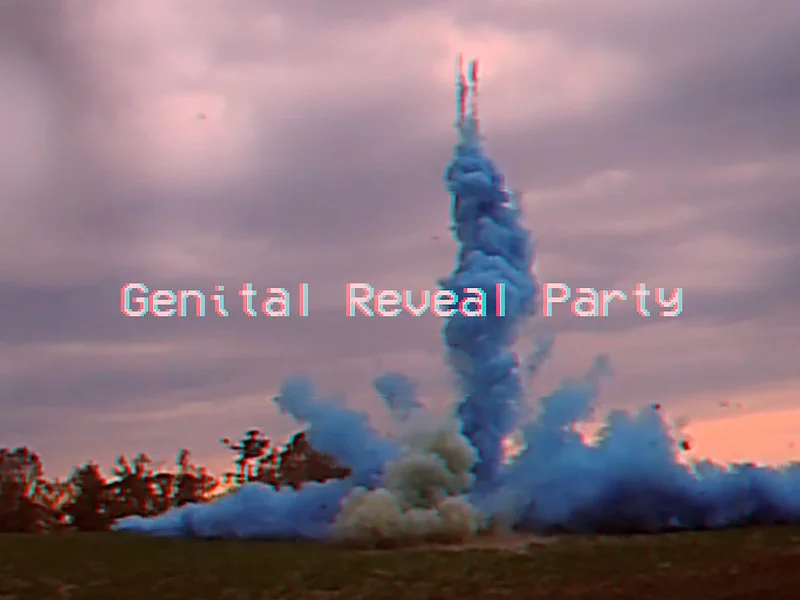 Genital Reveal Party