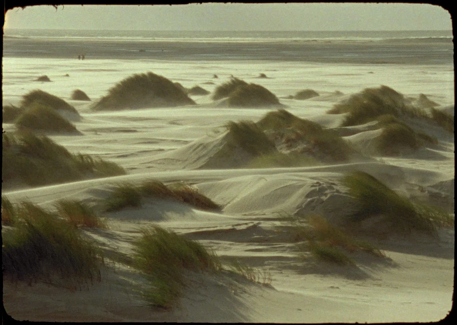 The Land of the Raven from the Ark