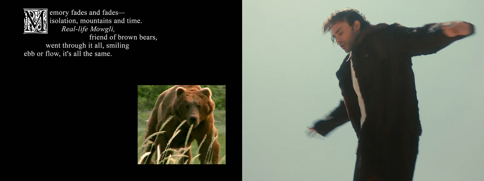 Searching For a Forest