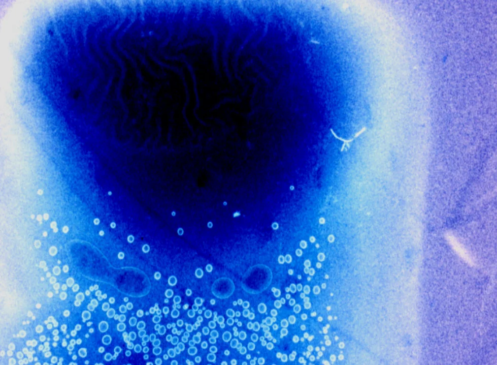 forms with space and distance and hills 