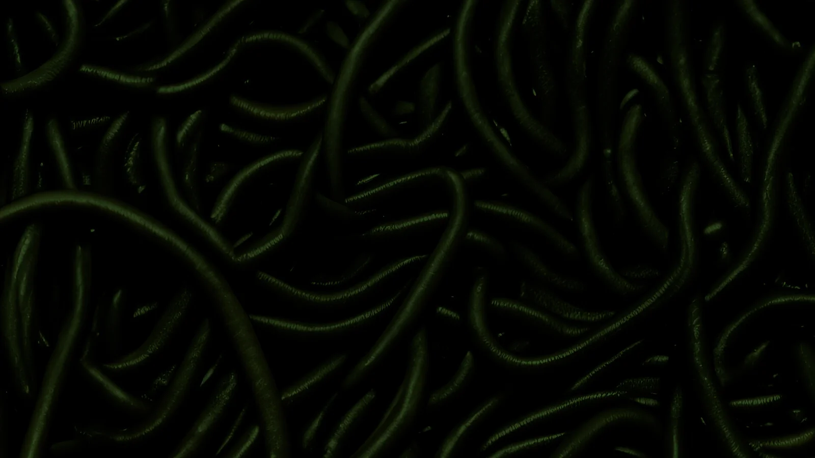 Umwelt/4470 - Part I