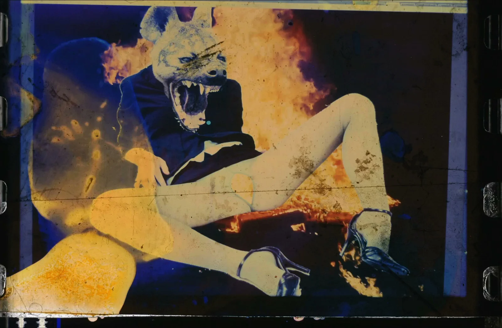 the Garden of Delight