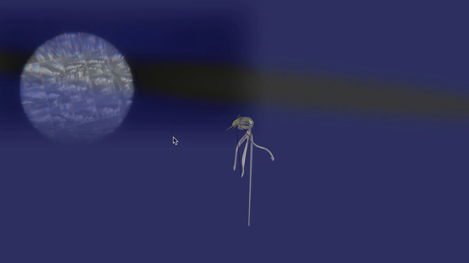 Blessed Are Those Who Grieve