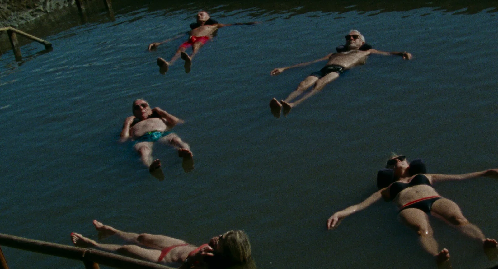 The Loneliness of Lizards