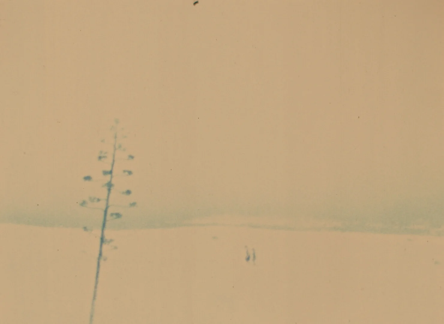 Objects in the rear mirror appear closer than they really are