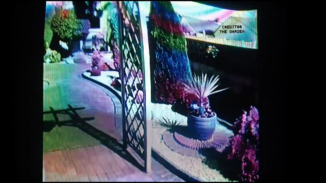 CREDIT00 - THE GARDEN