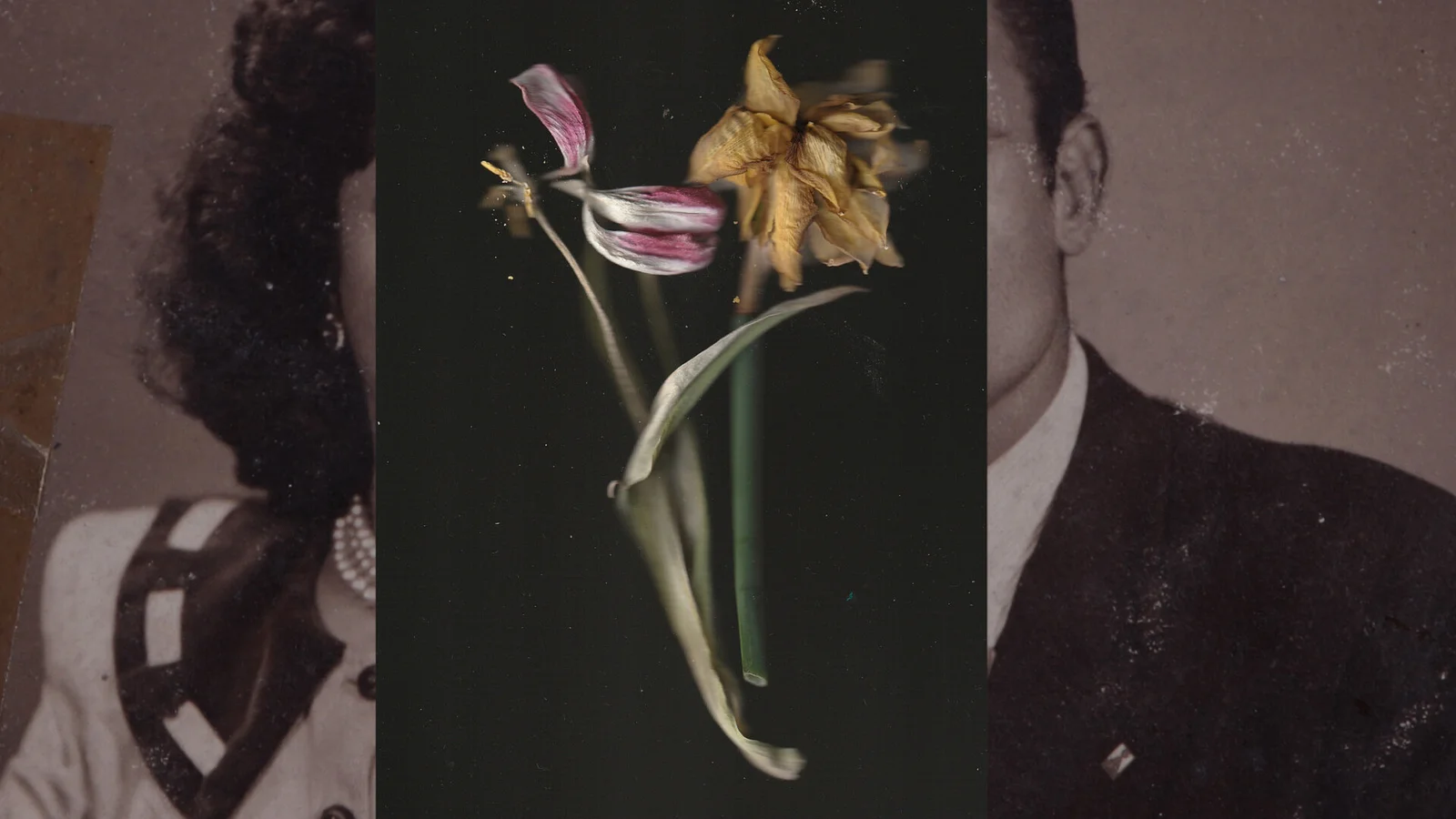 Between Delicate and Violent