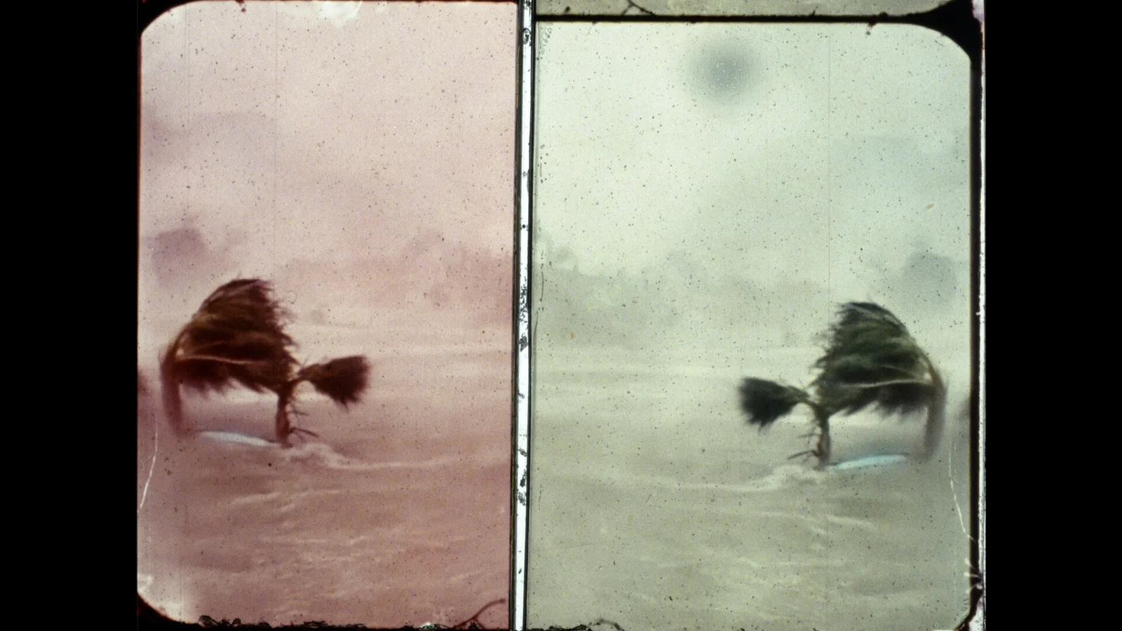 History Will Teach Us Nothing