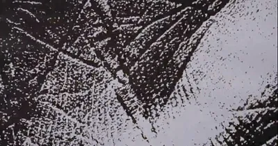 İhtimamın Hâlleri