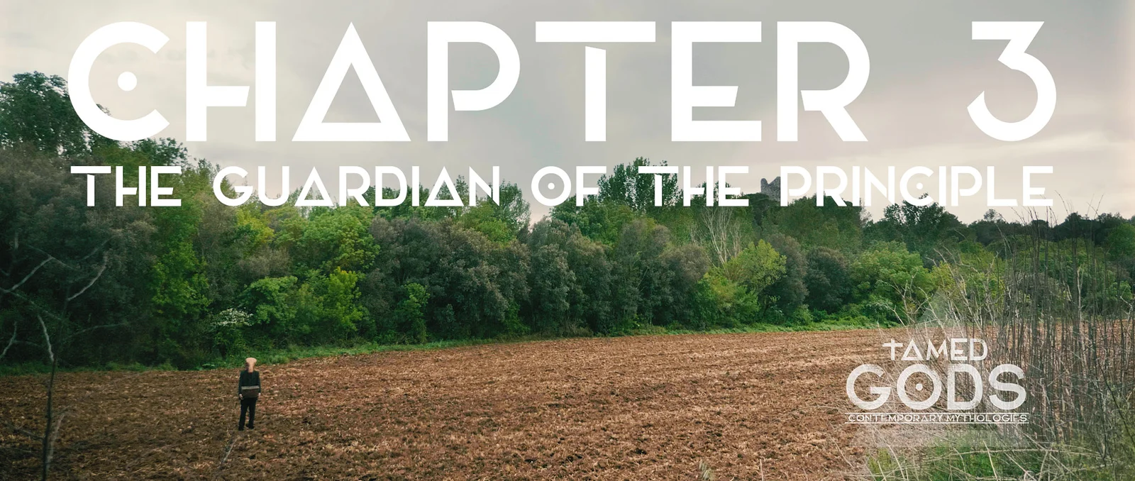 Tamed Gods: The Origins of Abundance