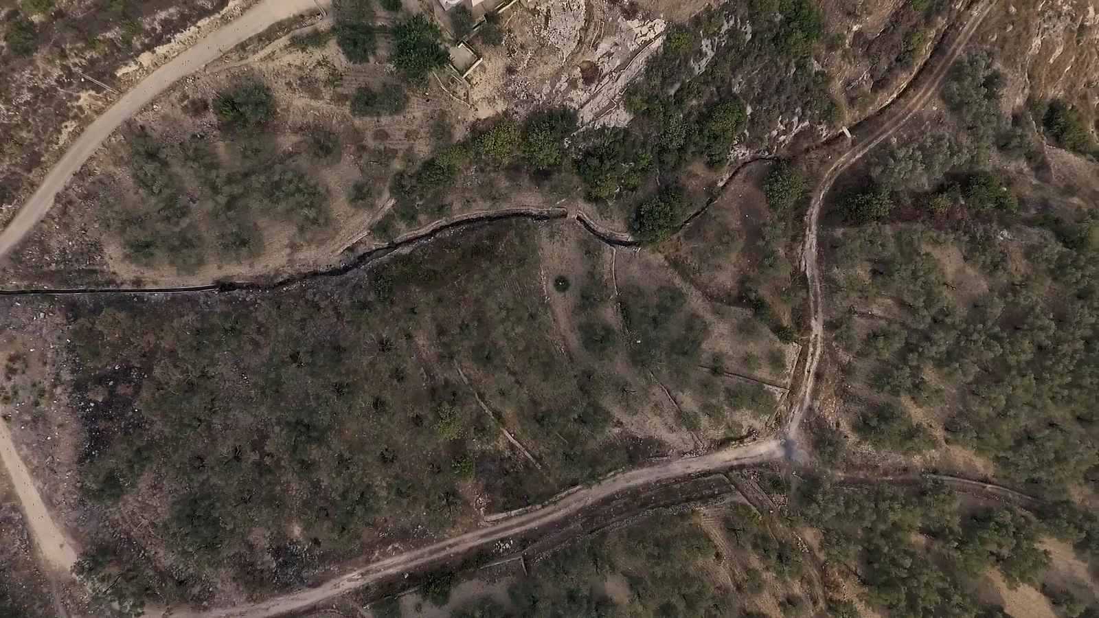 The Disappearance of Goya