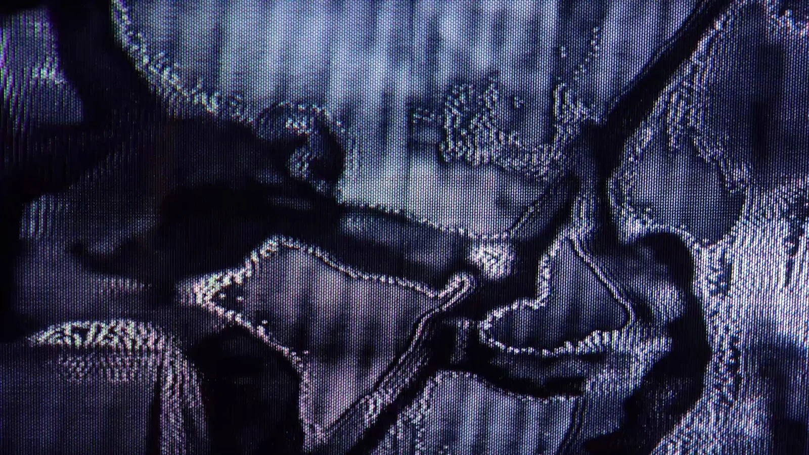 A Human Year is Seven Earth Years